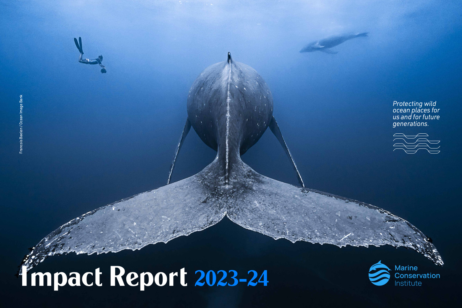 2024_MCI_Impact_Report_cover