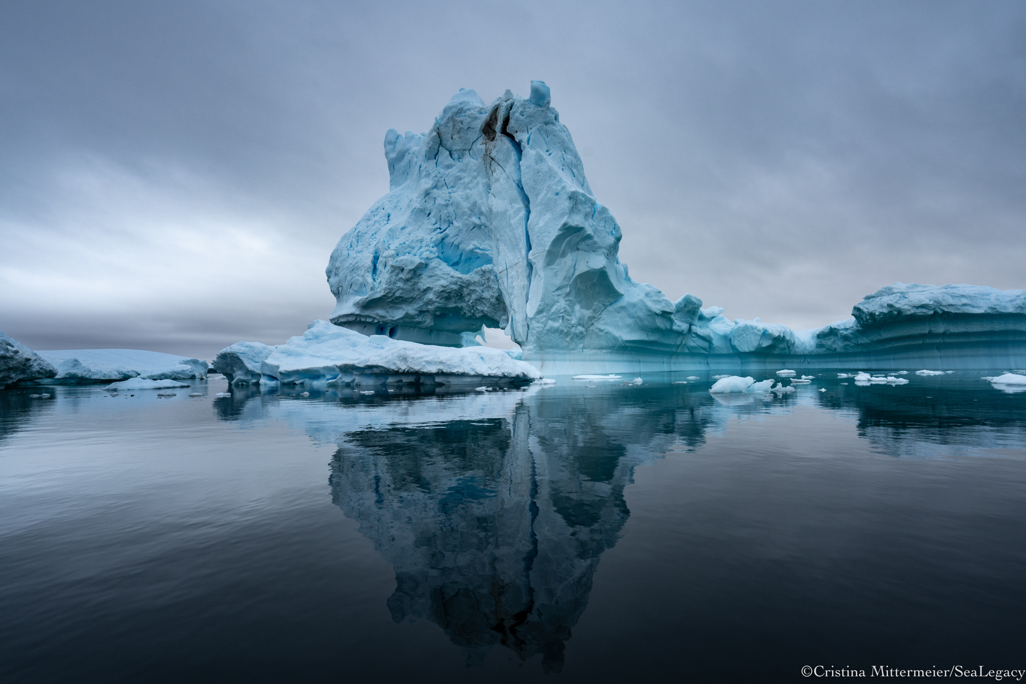 <a href=%e2%80%9c-3.html target="“_blank”" rel="noopener noreferrer">Photo: Cristina Mittermeier/SeaLegacy</a>