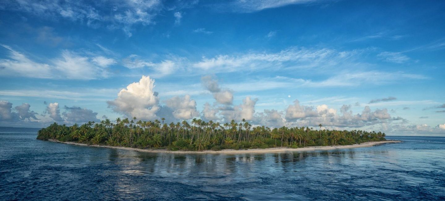 <a href=%e2%80%9c-5.html target="“_blank”" rel="noopener noreferrer">Photo: Cristina Mittermeier/SeaLegacy</a>