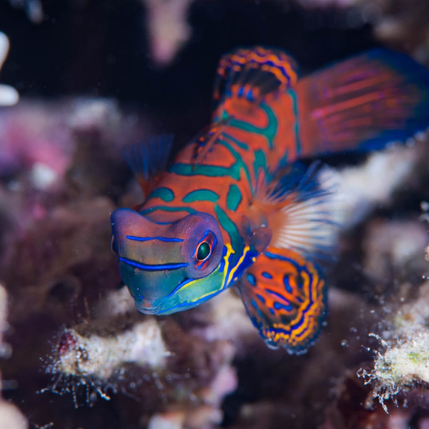 <a href=index-322.html target="_blank" rel="noopener noreferrer">Photo: Clinton Bauder</a>