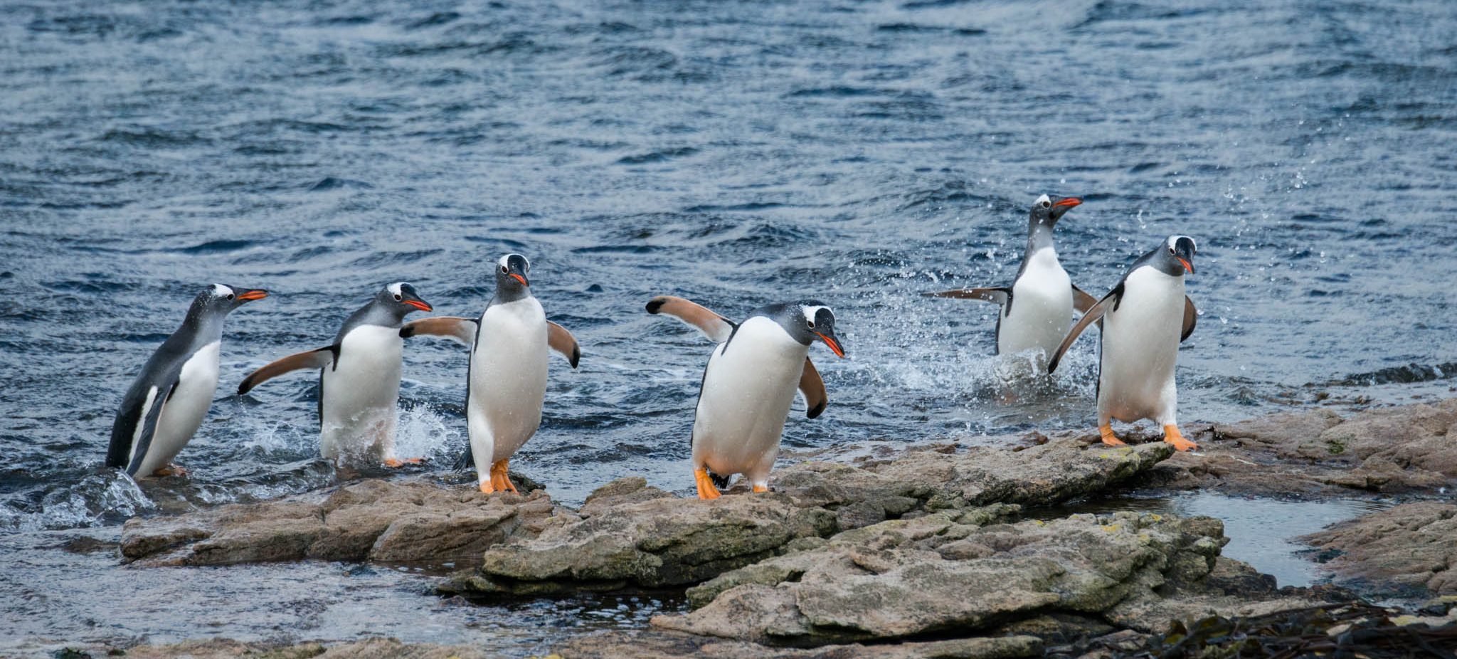 Photo: Clinton Bauder