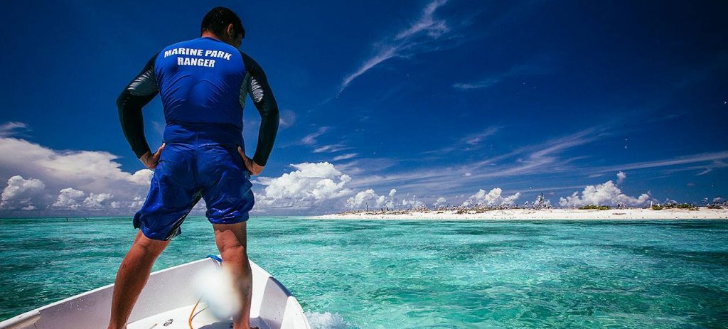 Photo: Tommy Schults 