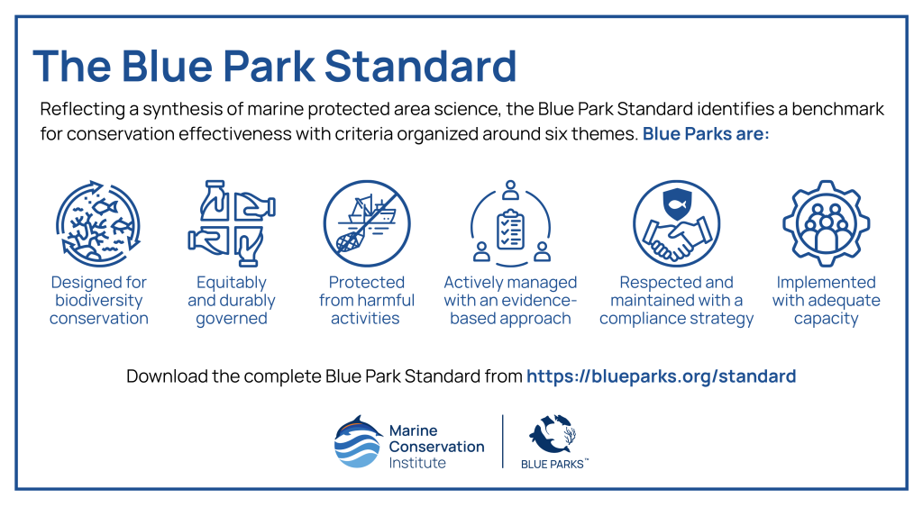 The Blue Park Standard themes