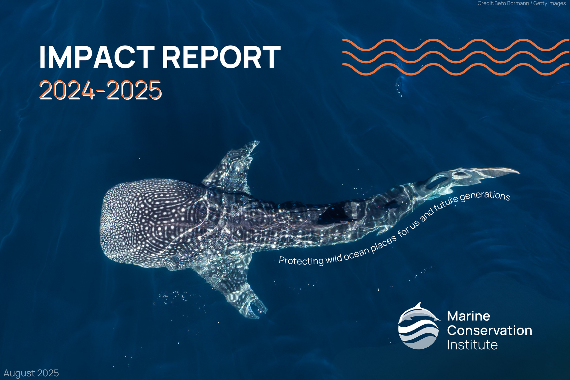 FINAL MCI Impact Report 24-25