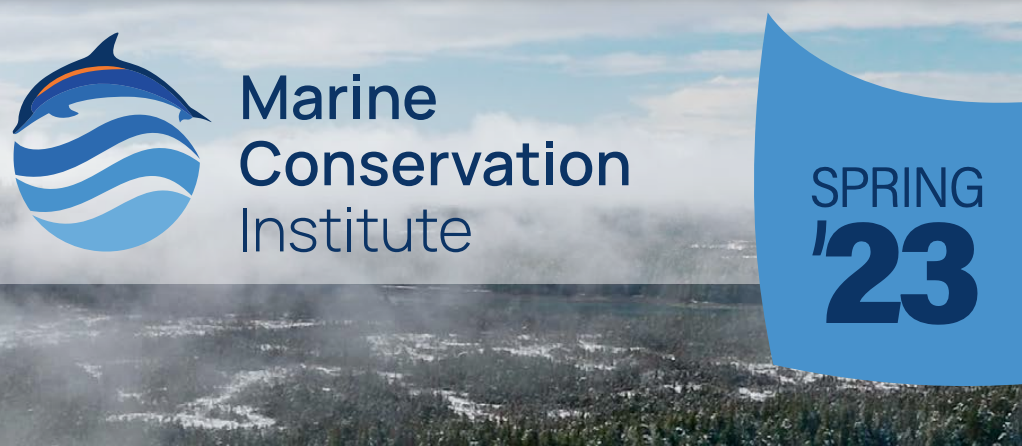 Screen Shot 2023-05-23 at 12.33.55 PM